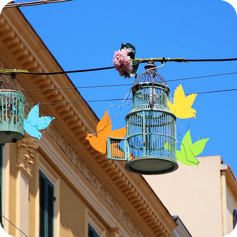 Alghero: Tour guidato di un giorno ad Alghero, scopri la città catalana della Sardegna!! - immagine 4