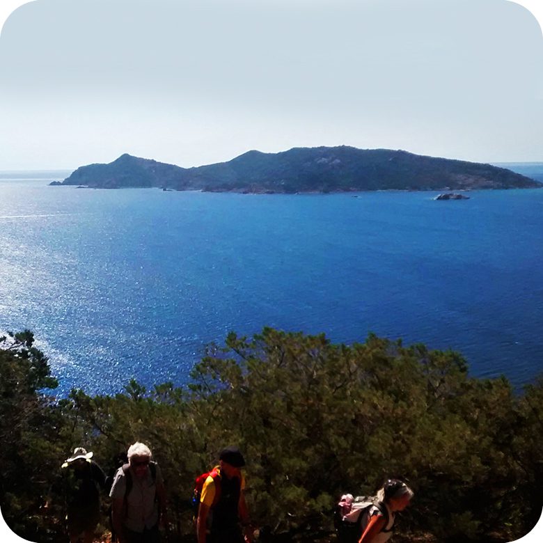 Isola di Tavolara: Escursione guidata di Trekking all’Isola di Tavolara ( Trekking leggero senza imbracatura ) - immagine 7