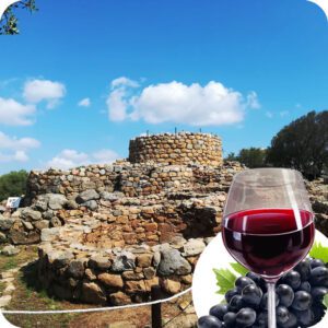 Arzachena: Tour misto di 4 ore, con Archeologia e Degustazione di Vino