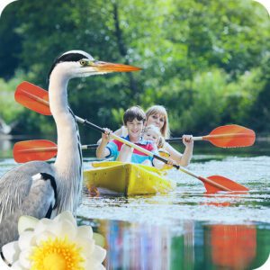 Palau: Tour guidato di 4 ore in canoa nel fiume Liscia, con Birdwatching e sosta in spiaggia.