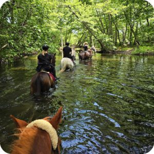 Costa Smeralda: Tour guidato a cavallo, goditi una passeggiata rilassante tra le campagne di Arzachena.