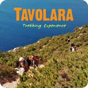 Isola di Tavolara: Escursione guidata di Trekking all’Isola di Tavolara ( Trekking leggero senza imbracatura )