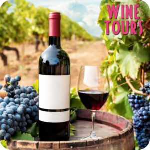 Arzachena Wine Tour: Escursione guidata con degustazione di Vini nel nord Sardegna.