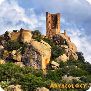 Olbia: Tour misto di 4 ore, con Archeologia e Degustazione Vino