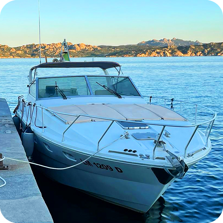 Da Palau: Escursione privata in Motoscafo nel mare della Corsica! - immagine 4