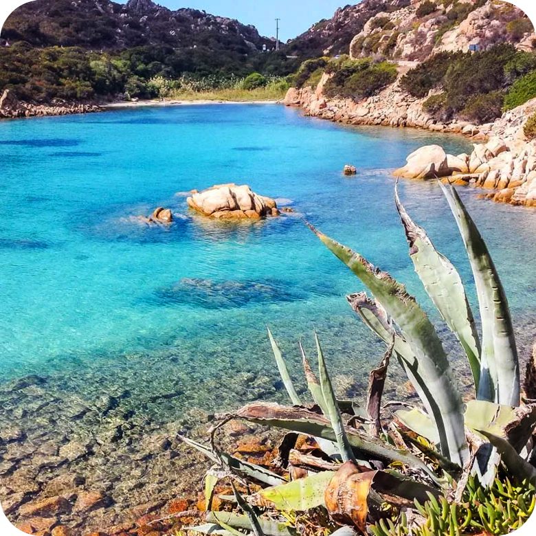 Da Palau: Escursione di una giornata in Catamarano nell’Arcipelago di La Maddalena, con pranzo - immagine 5