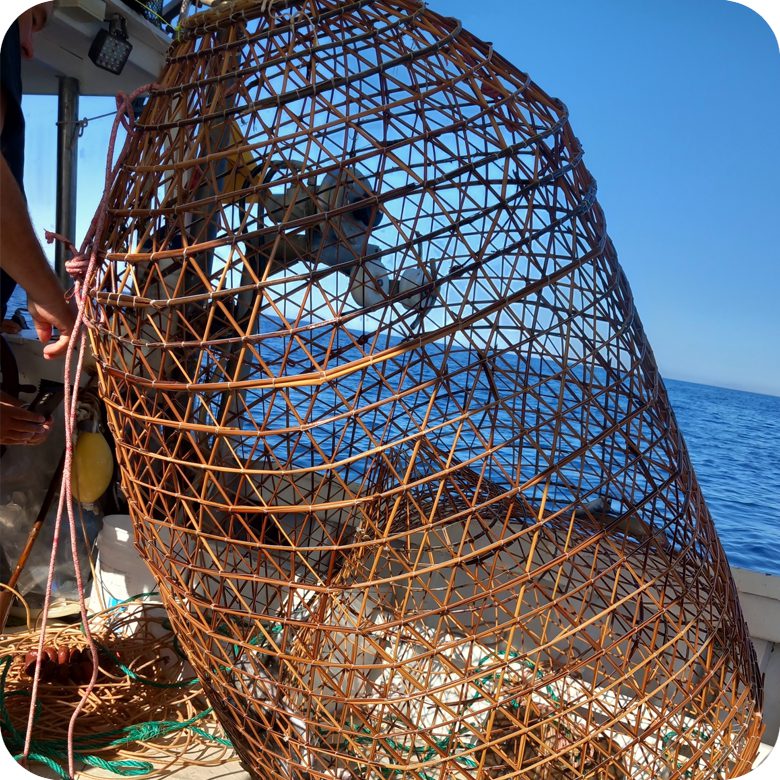 Pescaturismo a Castelsardo: Escursione di una giornata di pesca sostenibile nel Nord Sardegna! - immagine 6