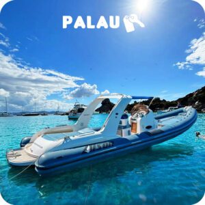 PALAU: GOMMONE ALSON A NOLEGGIO - 10MT - 300CV - CON PATENTE NAUTICA
