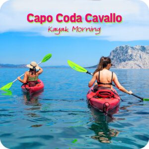 Da Capo Coda Cavallo: Tour guidato di 2.5 ore in Kayak nell'area marina di Tavolara!!
