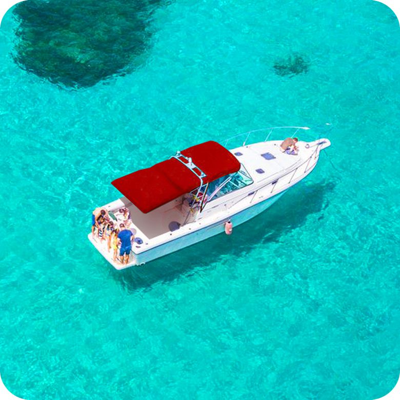 Da Palau: Escursione in barca privata nell'Arcipelago di La Maddalena. - immagine 5
