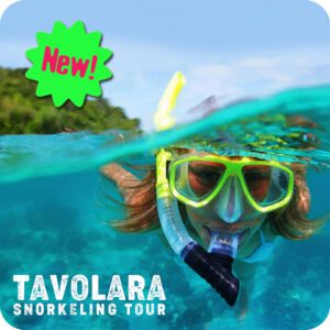 Da Golfo Aranci: Escursione di 4 ore in gommone all'isola di Tavolara, con Snorkeling .