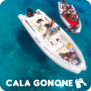 CALA GONONE: GOMMONE A NOLEGGIO - 7.50MT. - 225CV. - CON PATENTE NAUTICA