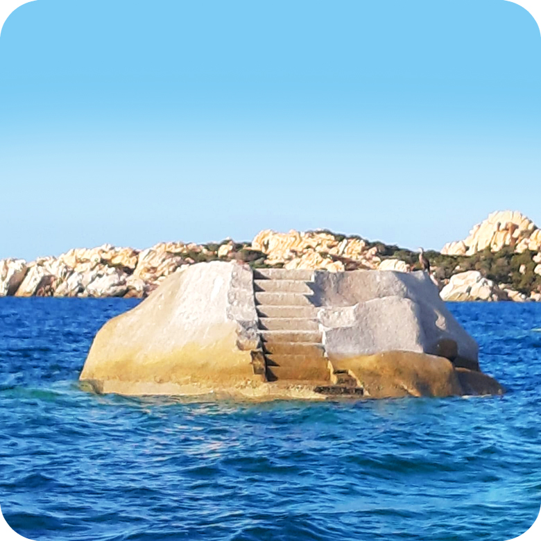 Da Palau: Tour privato di 4 ore in Gommone nell'Arcipelago di La Maddalena!! - immagine 8